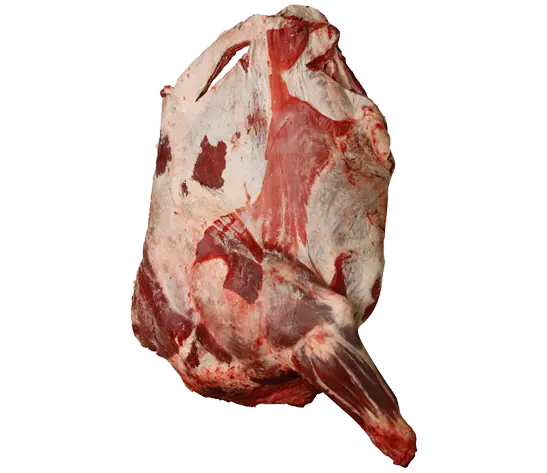 DANA KEMİKSİZ ÖN KOL
